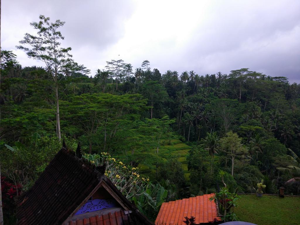 Tirta Asri Ubud Villa Екстериор снимка