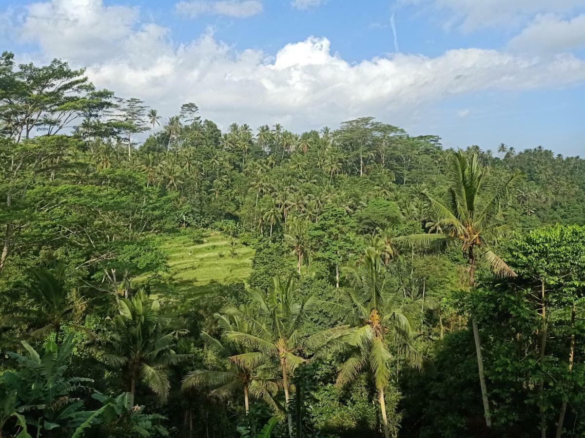 Tirta Asri Ubud Villa Екстериор снимка