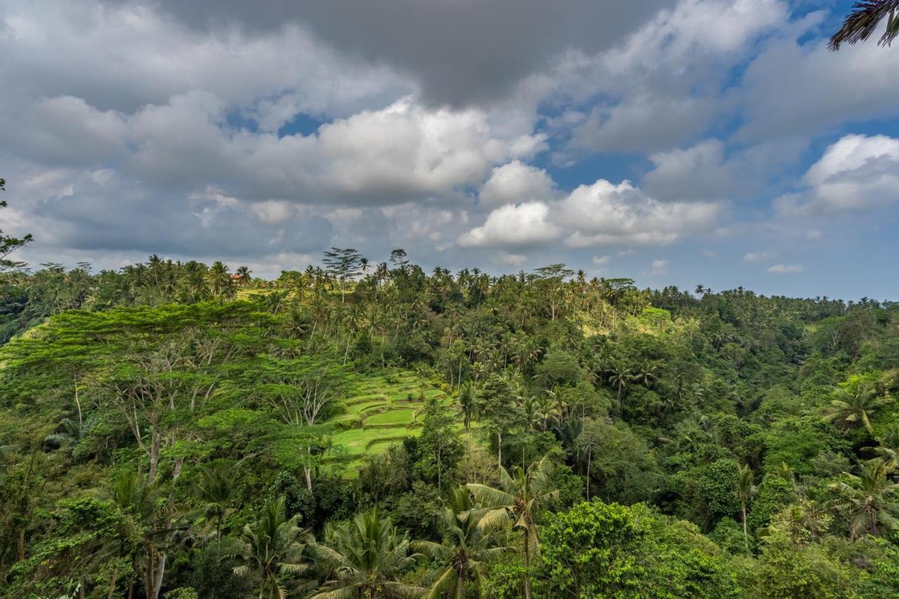 Tirta Asri Ubud Villa Екстериор снимка