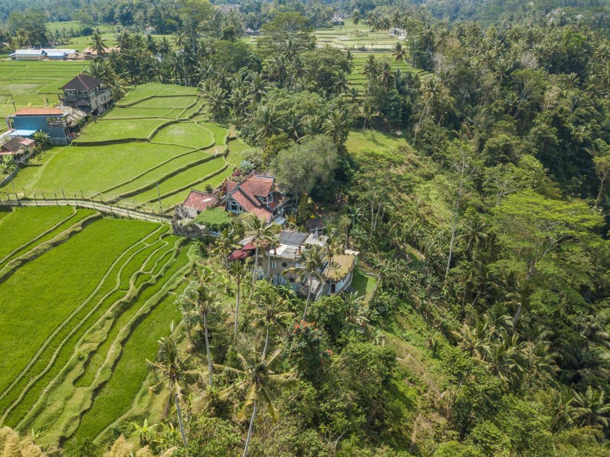 Tirta Asri Ubud Villa Екстериор снимка